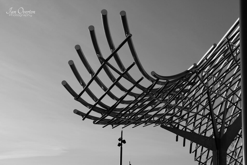 Humpback Sculpture Left Fin