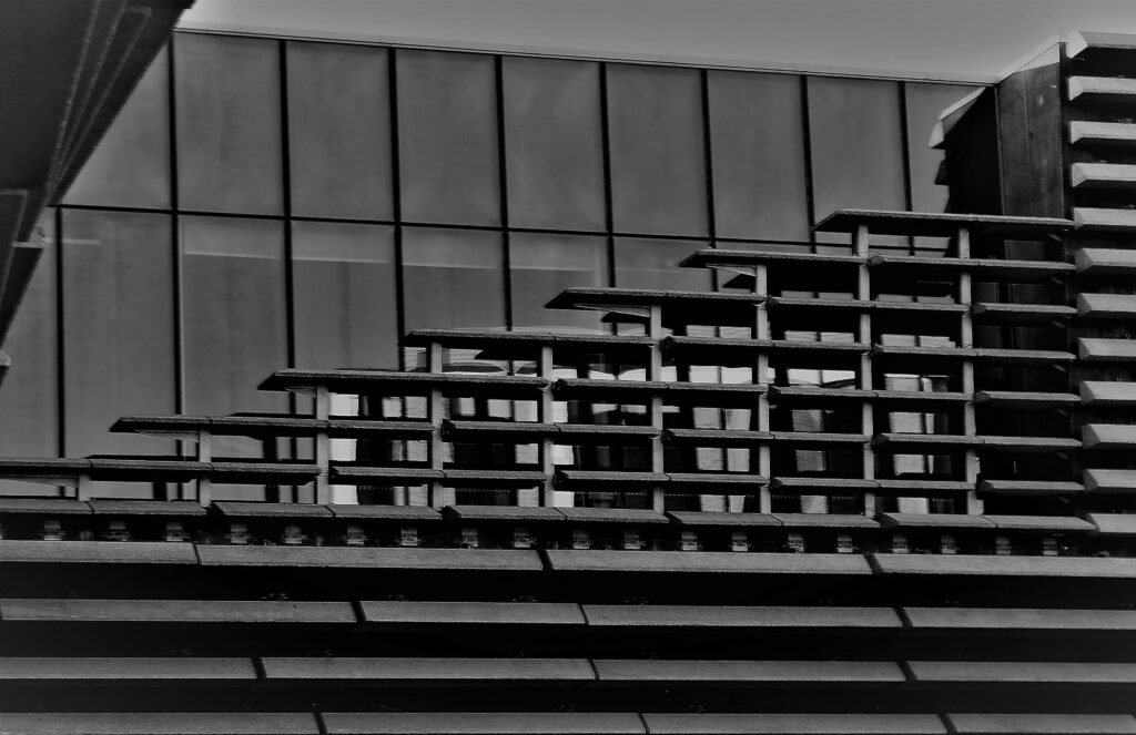 Reflections In The Top Window