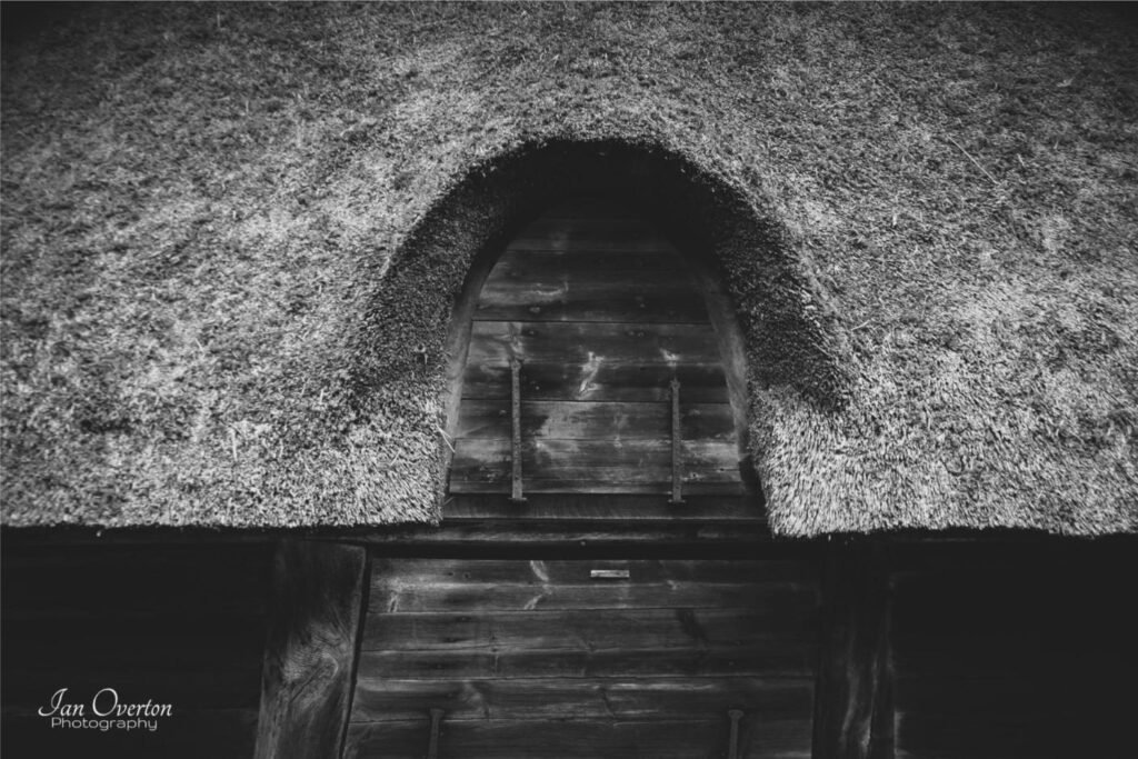 Thatched Roof
